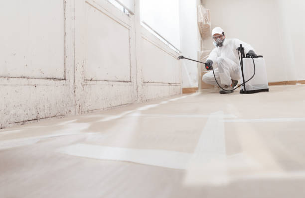 24/7 Emergency Basement Mold Remediation experts in Franklin Lakes, NJ