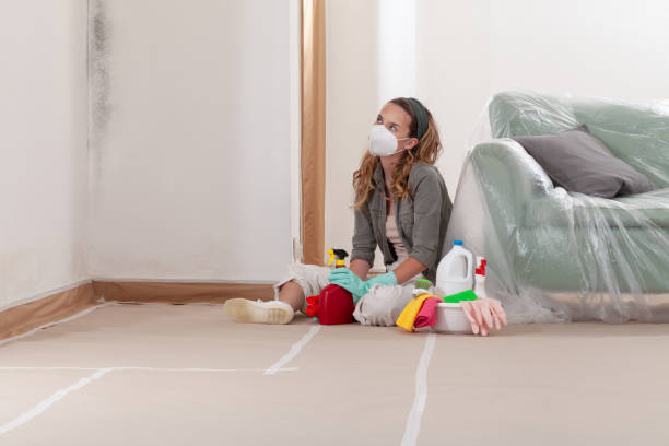 Reliable Basement Mold Remediation contractor in Franklin Lakes, NJ by Car Mold Remediation